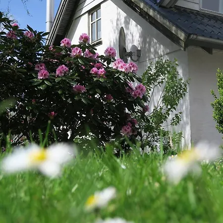 Det Gamle Savvaerk * Give